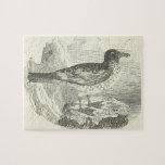 [ Thumbnail: Vintage Look, Bird Standing On a Rock Puzzle ]