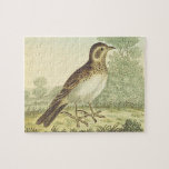 [ Thumbnail: Vintage Look, Bird Standing On The Ground Puzzle ]