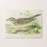 [ Thumbnail: Vintage Look Bird Standing On The Ground Puzzle ]