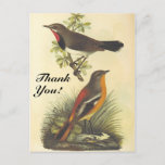 [ Thumbnail: Vintage Look Birds, "Thank You!" Postcard ]