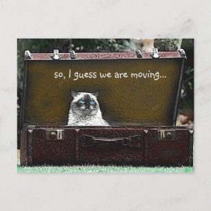 Vintage Look Colorized Sad Cat in Suitcase Moving Announcement Postcard