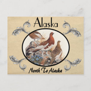 Vintage Look Old Postcard Alaska State