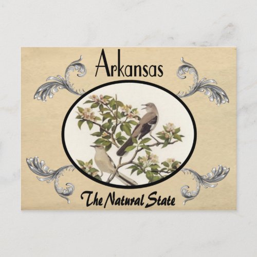 Vintage Look Old Postcard Arkansas State