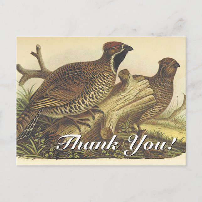 Vintage Look, Two Birds "Thank You!" Postcard (Front)