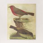 [ Thumbnail: Vintage Look, Two Standing Birds Puzzle ]