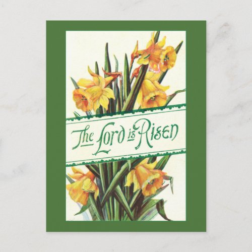 Vintage Lord is Risen with Yellow Daffodils Postcard