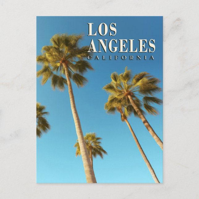Vintage Los Angeles, California Palm Tree Travel Postcard (Front)