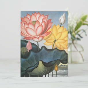 Vintage Lotus Flowers, The Sacred Egyptian Bean