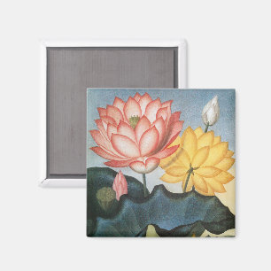 Vintage Lotus Flowers, The Sacred Egyptian Bean Magnet