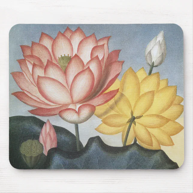 Vintage Lotus Flowers, The Sacred Egyptian Bean Mouse Pad | Zazzle