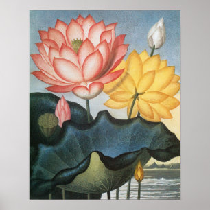 Vintage Lotus Flowers, The Sacred Egyptian Bean Poster