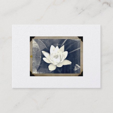 Vintage Lotus Photograph  Business Card