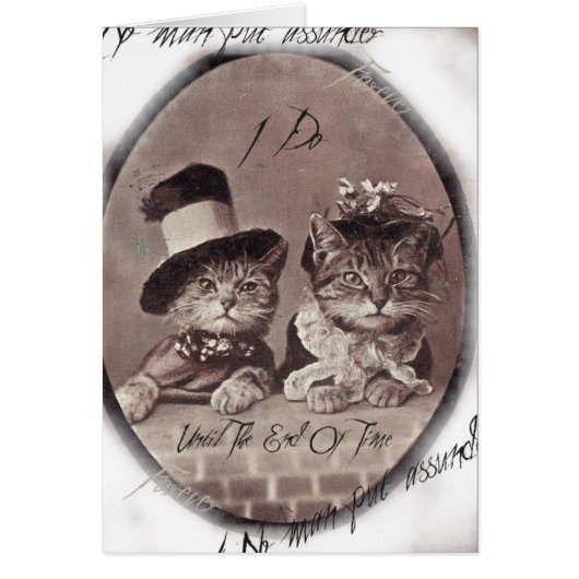 Vintage Love Cats Card (Front)