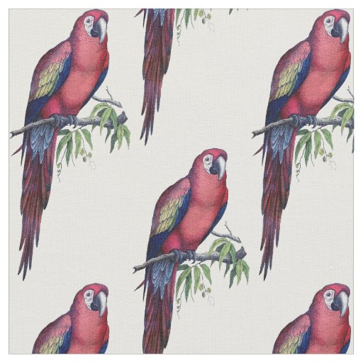 Vintage Macaw Bird Fabric