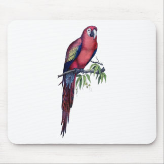 Vintage Macaw Bird Mouse Pad