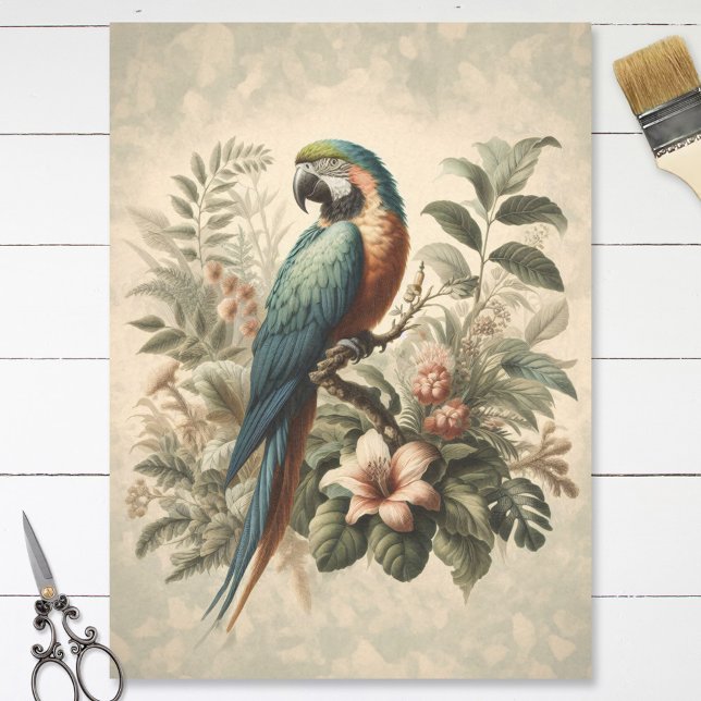 Vintage Macaw Botanical Painting Decoupage Tissue Paper (Creator Uploaded)