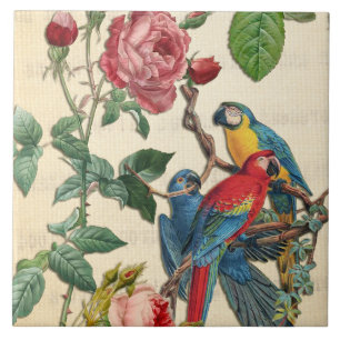 Vintage Macaws And Roses Ceramic Tile