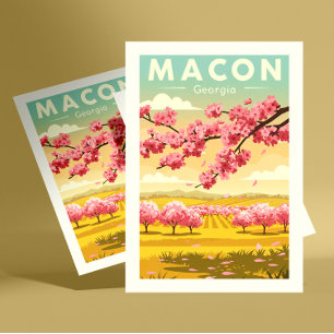 Vintage Macon Georgia Postcard