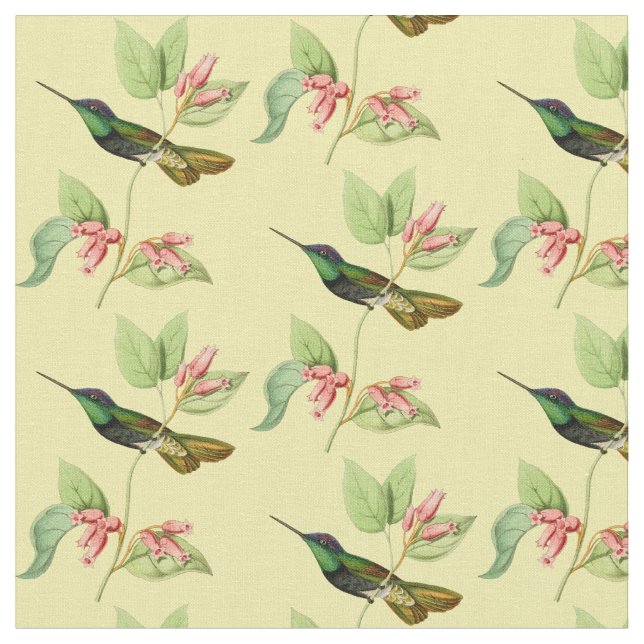 Vintage Magnificent Hummingbird Fabric (Close Up)
