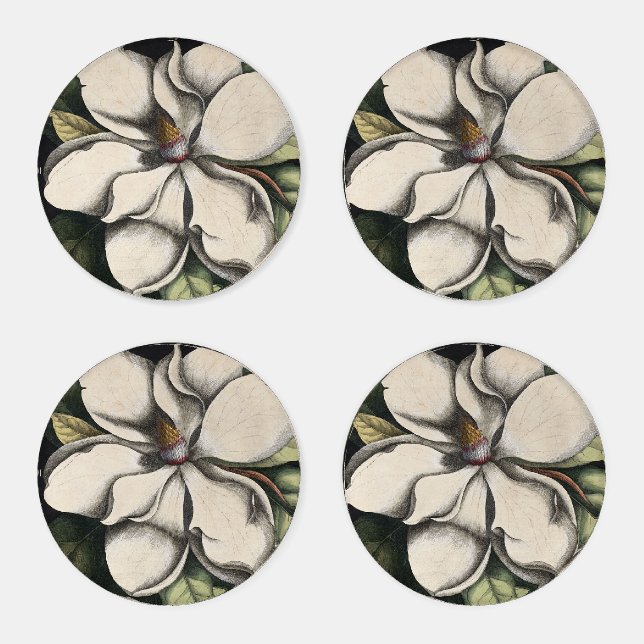 Vintage Magnolia  Coaster Set (Set)