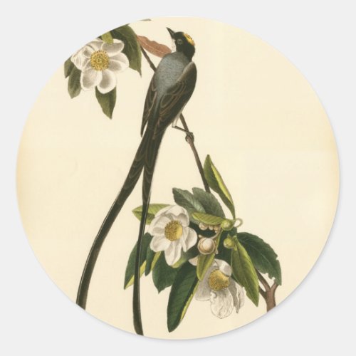 Vintage Magnolia Floral Bird Flycatcher Custom Classic Round Sticker