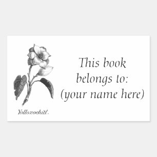 Vintage magnolia flower etching bookplate