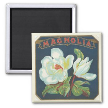 Vintage Magnolia Flower Magnet by Zazilicious at Zazzle