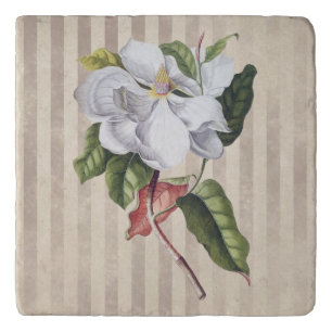Vintage Magnolia Flower on Stripes Trivet