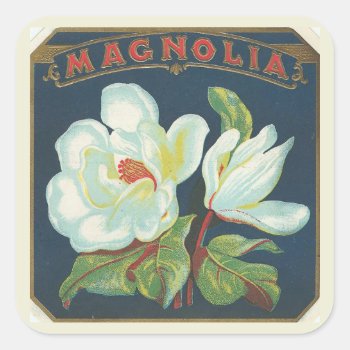 Vintage Magnolia Flower Square Sticker by Zazilicious at Zazzle