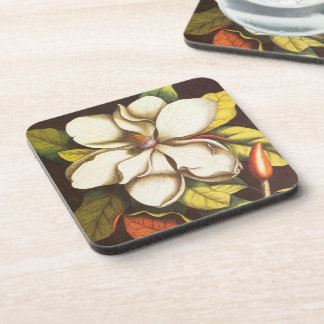 Vintage Magnolia Flowers Plant With Seeds Beverage Coaster