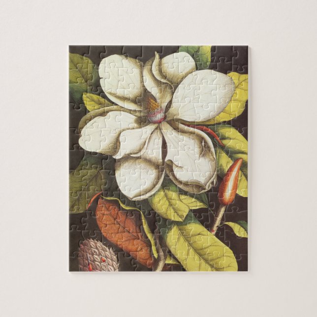 Vintage Magnolia Flowers Plant With Seeds Jigsaw Puzzle (Vertical)