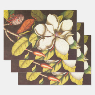 Vintage Magnolia Flowers Plant With Seeds Wrapping Paper Sheets