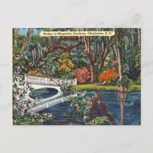 Vintage Magnolia Gardens Charleston South Carolina Postcard