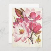 Vintage Magnolia Tree Blossom, Pink Garden Flowers (Front/Back)
