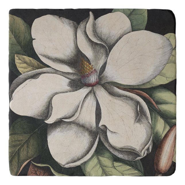 Vintage Magnolia  Trivet (Front)