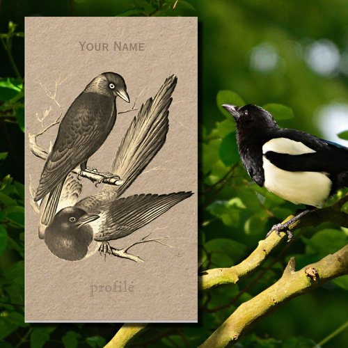 Vintage magpie and jack daw  _ sepia business card