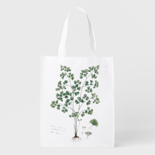 Vintage Maidenhair Fern Botanical Illustration Grocery Bag