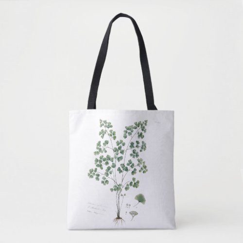 Vintage Maidenhair Fern Botanical Illustration Tote Bag
