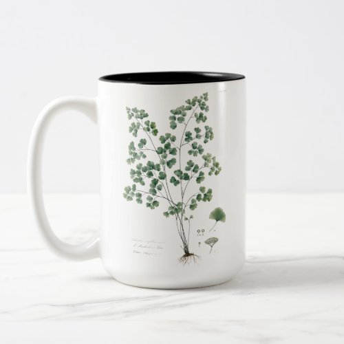 Vintage Maidenhair Fern Botanical Illustration Two-Tone Coffee Mug