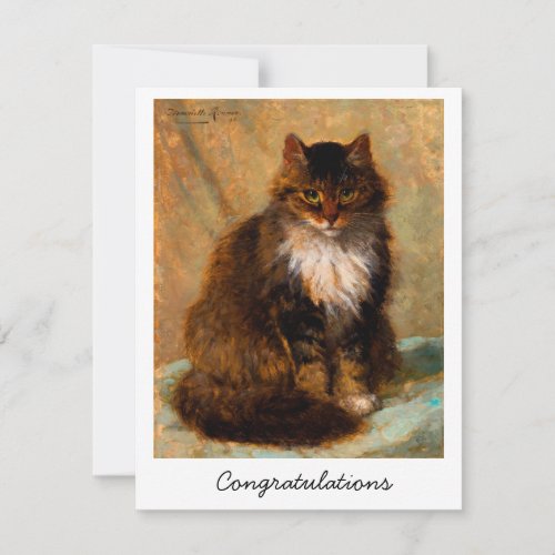 Vintage Maine Coon Cat Congratulations