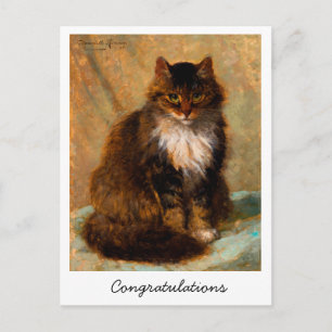 Vintage Maine Coon Cat Congratulations          Postcard