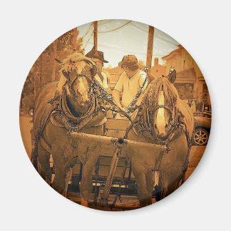 Vintage Maine Magnet