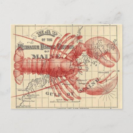 Vintage Maine Map With Lobster Postcard
