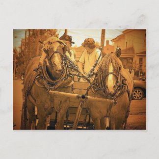 Vintage Maine Postcard