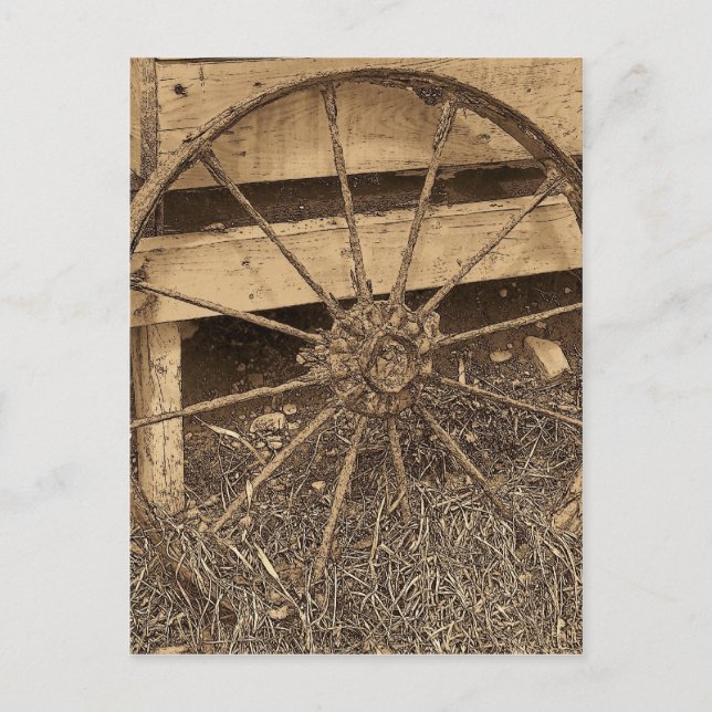 Vintage Maine Postcard (Front)