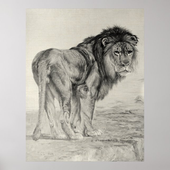 Vintage Majestic Lion Poster (Front)