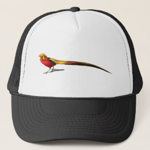 Vintage male golden pheasant bird Illustration Trucker Hat