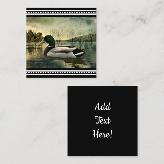 Vintage Mallard Duck Weathered Postcard  (Front/Back)