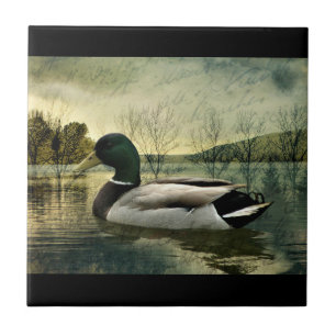 Vintage Mallard Duck Weathered Postcard Ceramic Tile