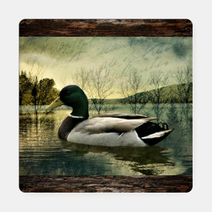 Vintage Mallard Duck Weathered Postcard Coaster Se Set